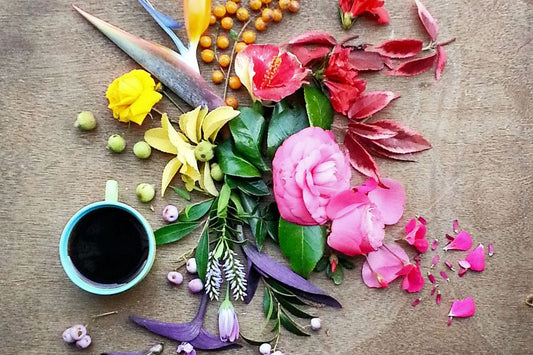The Timeless Symbolism of Flowers