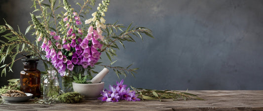 Poison and Cure: Plants That Changed Modern Medicine