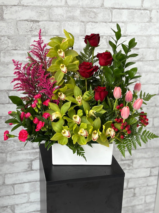 Bliss Orchids