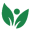 logo of Brooklyn Florist ✅ Same-Day Flower Delivery | Your Local Florist
 – Dragonetti Florist & Garden Center