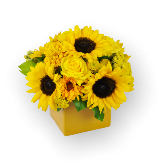 Showers of Sunbeams-Sunny and bright floral display to bring cheer