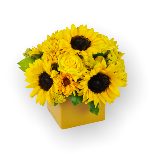 Showers of Sunbeams-Sunny and bright floral display to bring cheer